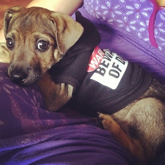 🌺 WELCOME 🌺 - Picture 6 of 6